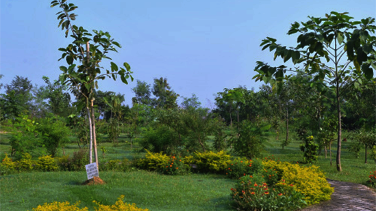 Green park created on reclaimed Tata Steel land